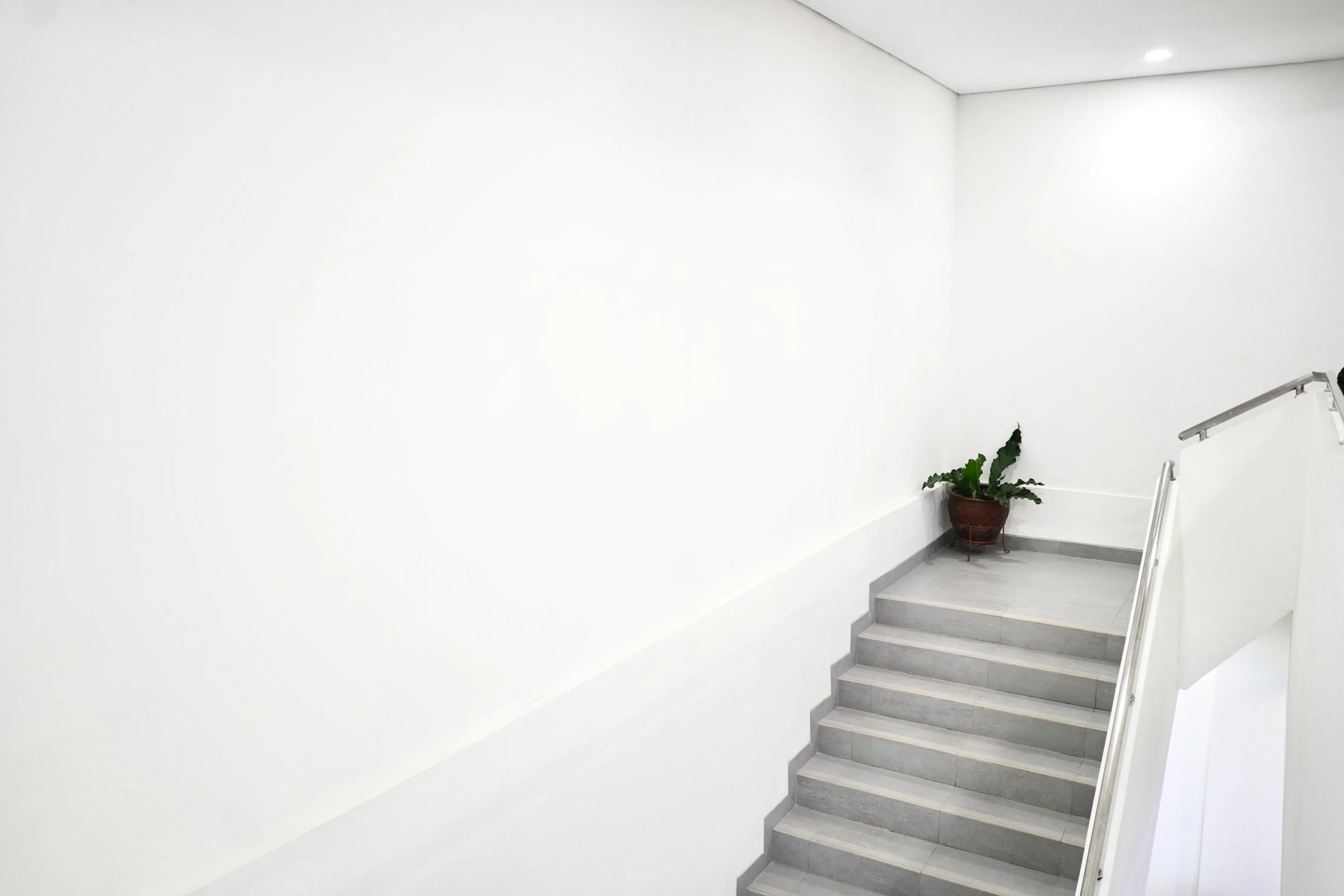 Une cage d'escalier aux murs blancs, avec des marches grises et une plante sur le palier